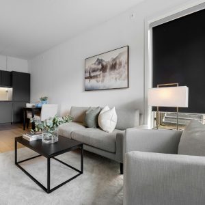 Cleaning in Scottsdale, AZ